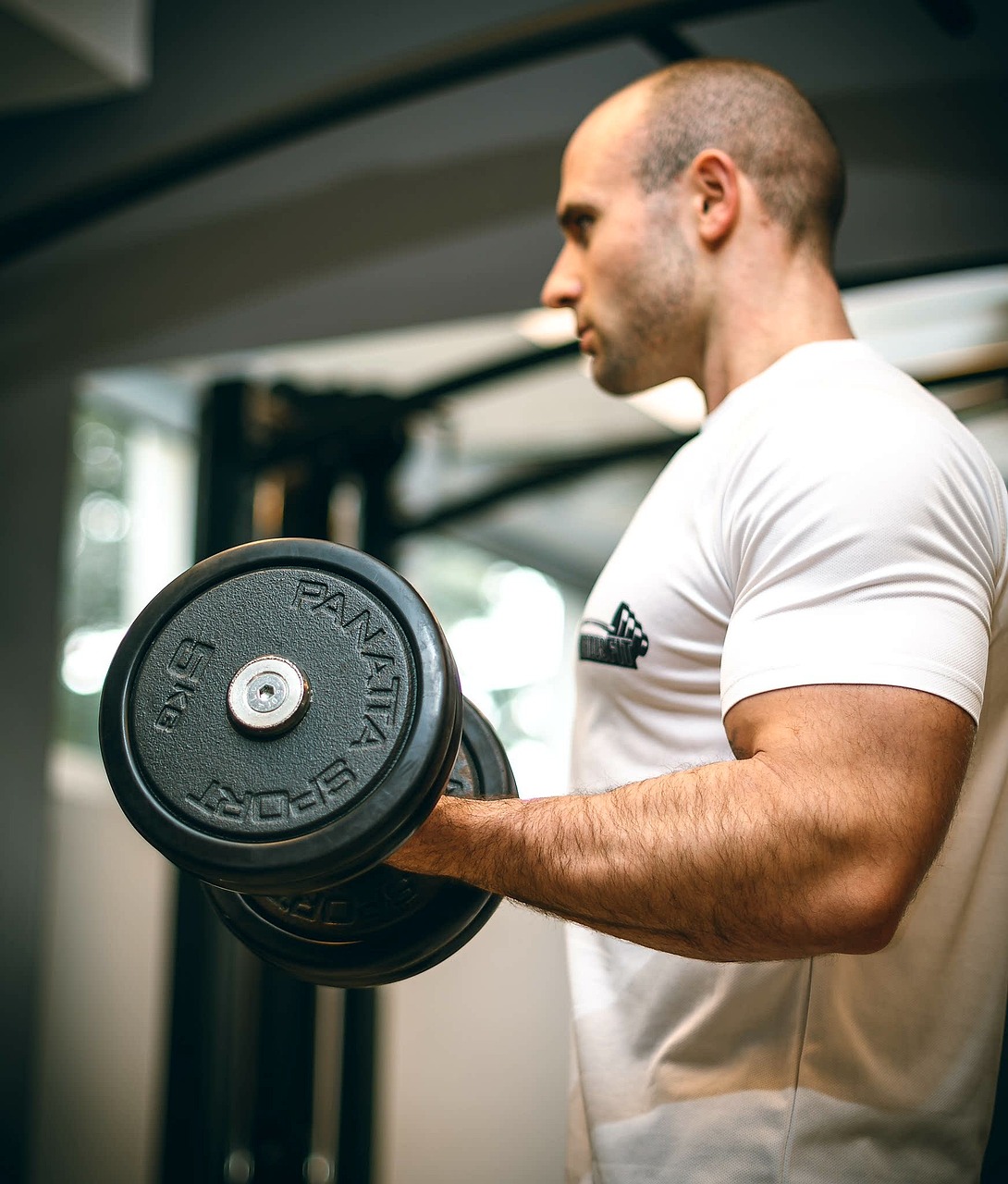 Build Strong Arms with Bicep Curls